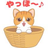 動く★子猫だらけ