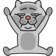 飛び出す★ウザ~~い猫