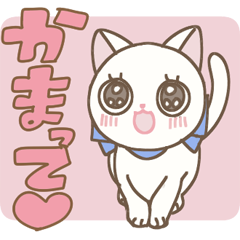 子猫がいっぱい