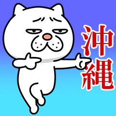 【沖縄弁】ウザ~~い猫★沖縄