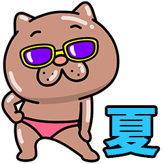 ウザ～～い猫の夏