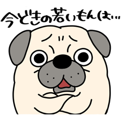 パグのおっちゃん