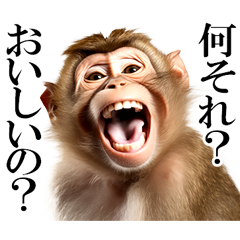 リアル猿