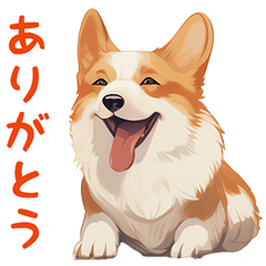 みんな大好き⭐コーギー