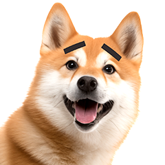リアル⭐柴犬