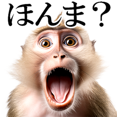 リアル猿★関西弁