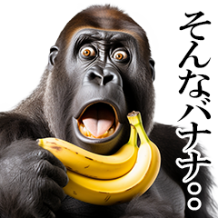 リアル⭐ゴリラ