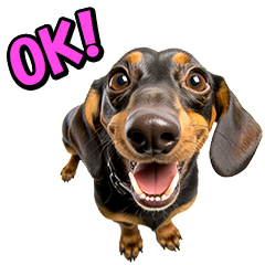 リアル⭐ミニチュアダックス