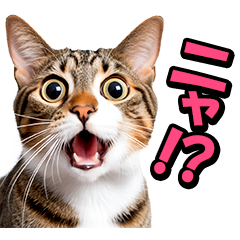 リアル猫