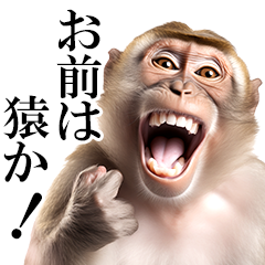 リアル猿2