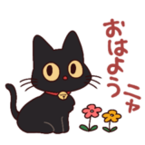 黒猫⭐ベルの日常2