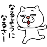 ウザ～～い猫★ポジティブ