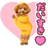 踊る！ダンス トイプードル
