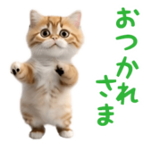 踊る！ダンス猫３