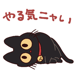 黒猫⭐ベルの日常【やる気なし】