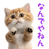 踊る！ダンス猫４（関西弁）