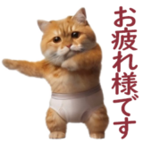 毒舌ブリーフ猫
