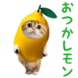 踊る！ダンス猫（ダジャレ）