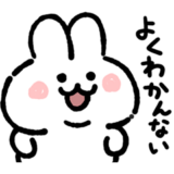 もっちり★ウサギ