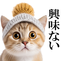 ニット帽にゃんこ