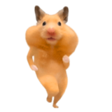 踊る！キモカワハムスター