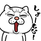 ウザ～～い猫★毒舌