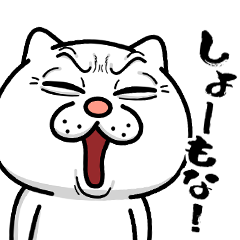 ウザ～～い猫★毒舌