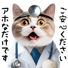 猫のお医者さん