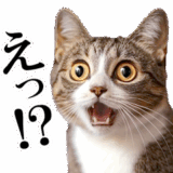 動く！猫の日常2