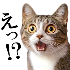 動く！猫の日常2