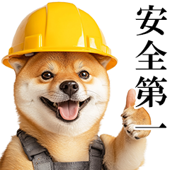 リアル柴犬★現場仕事
