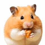 動く！リアルハムスター