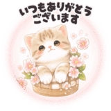 飛び出♥子猫日和