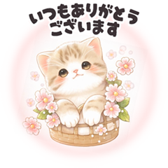 飛び出♥子猫日和