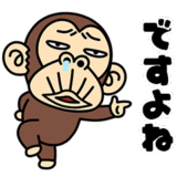 イラッとお猿さん★イラッとする敬語