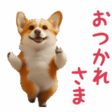 踊る！コーギー