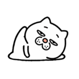元気に動く！ウザ～～い猫★ミニ2