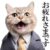 リアルサラリーマン猫