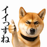 眼力で語るアニマル