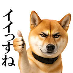 眼力で語るアニマル