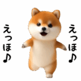 エッホエッホ豆柴