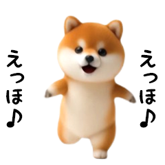 エッホエッホ豆柴
