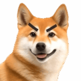 動く！リアル豆柴2