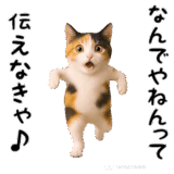 エッホエッホ猫（関西弁）