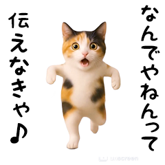 エッホエッホ猫(関西弁)