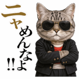 リアル猫ニャンキー