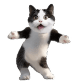 踊る！ダンス猫（ハチワレ）