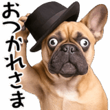 フレンチなブルさん2