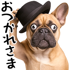 フレンチなブルさん2