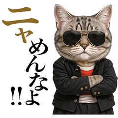リアル猫ニャンキー